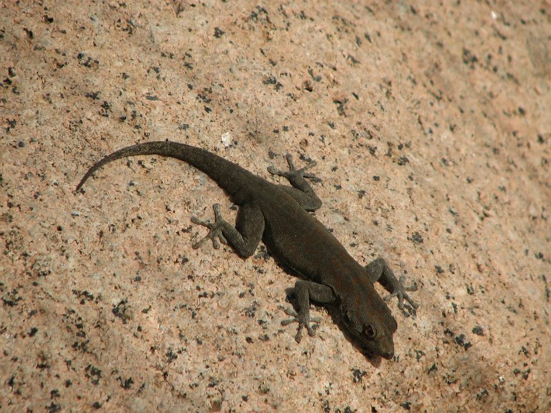 c_2015_09_02 10_01_36_162